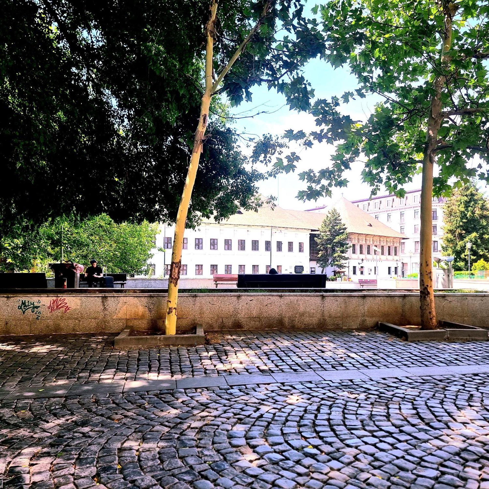 Enchanting Retreat - Historic Old Town - Pet-Friendly Haven - Steps From Unirii Bucureşti Eksteriør bilde