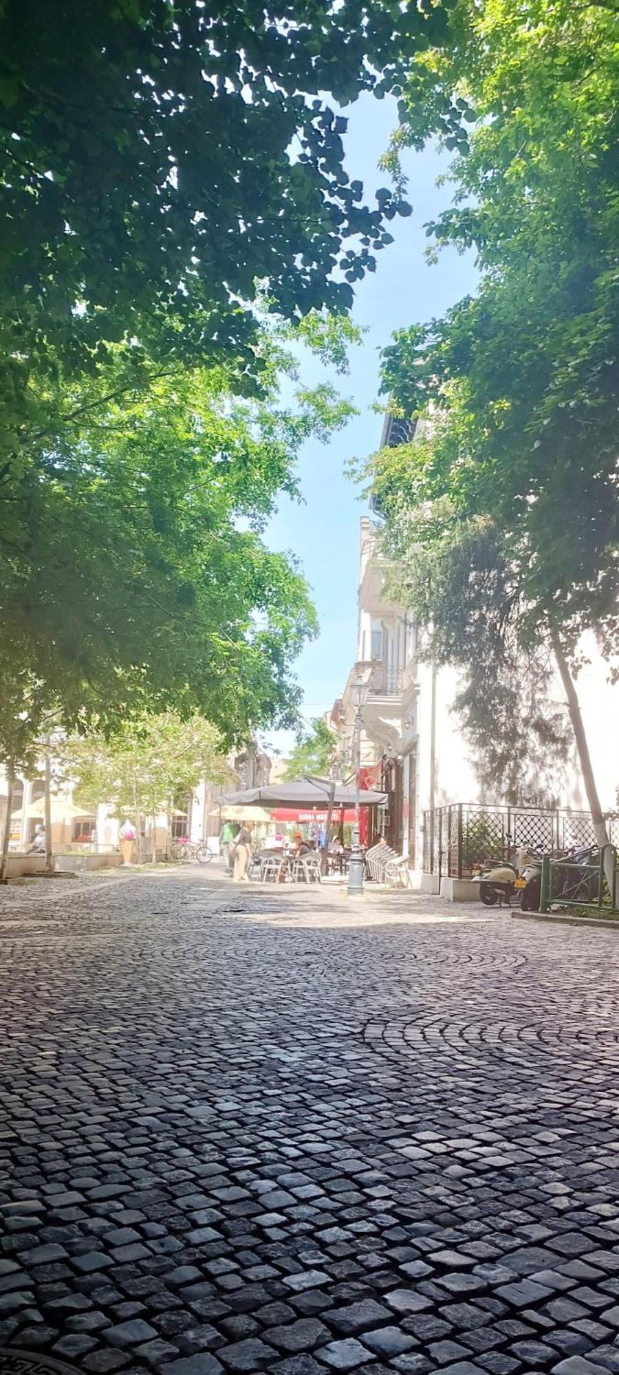 Enchanting Retreat - Historic Old Town - Pet-Friendly Haven - Steps From Unirii Bucureşti Eksteriør bilde